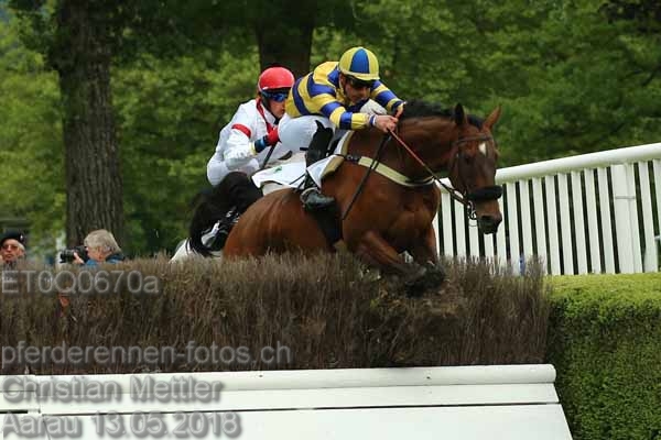 ET0Q0670a prot